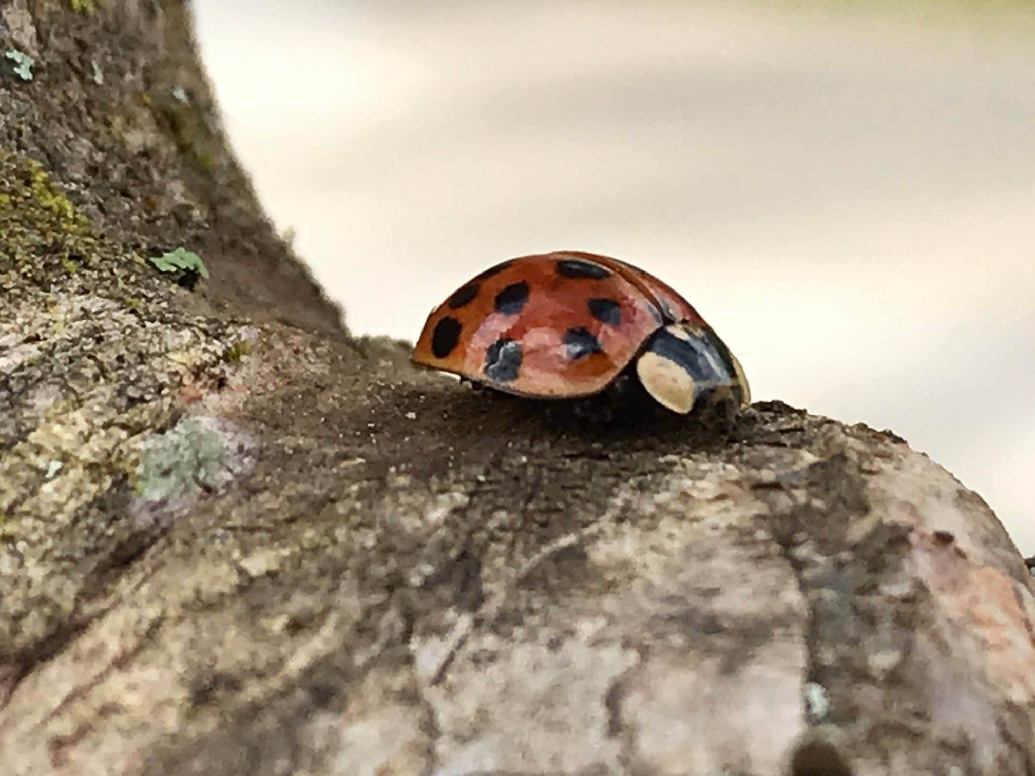 170072034_122089563291162_726483037741880120_n