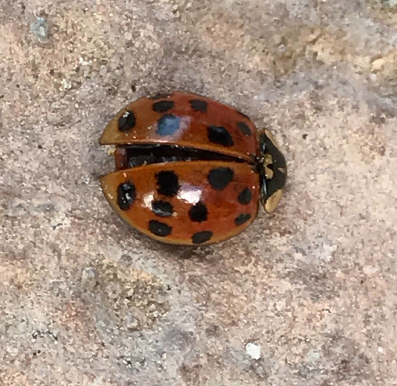 170683729_122089663291152_582845123322180525_n-1