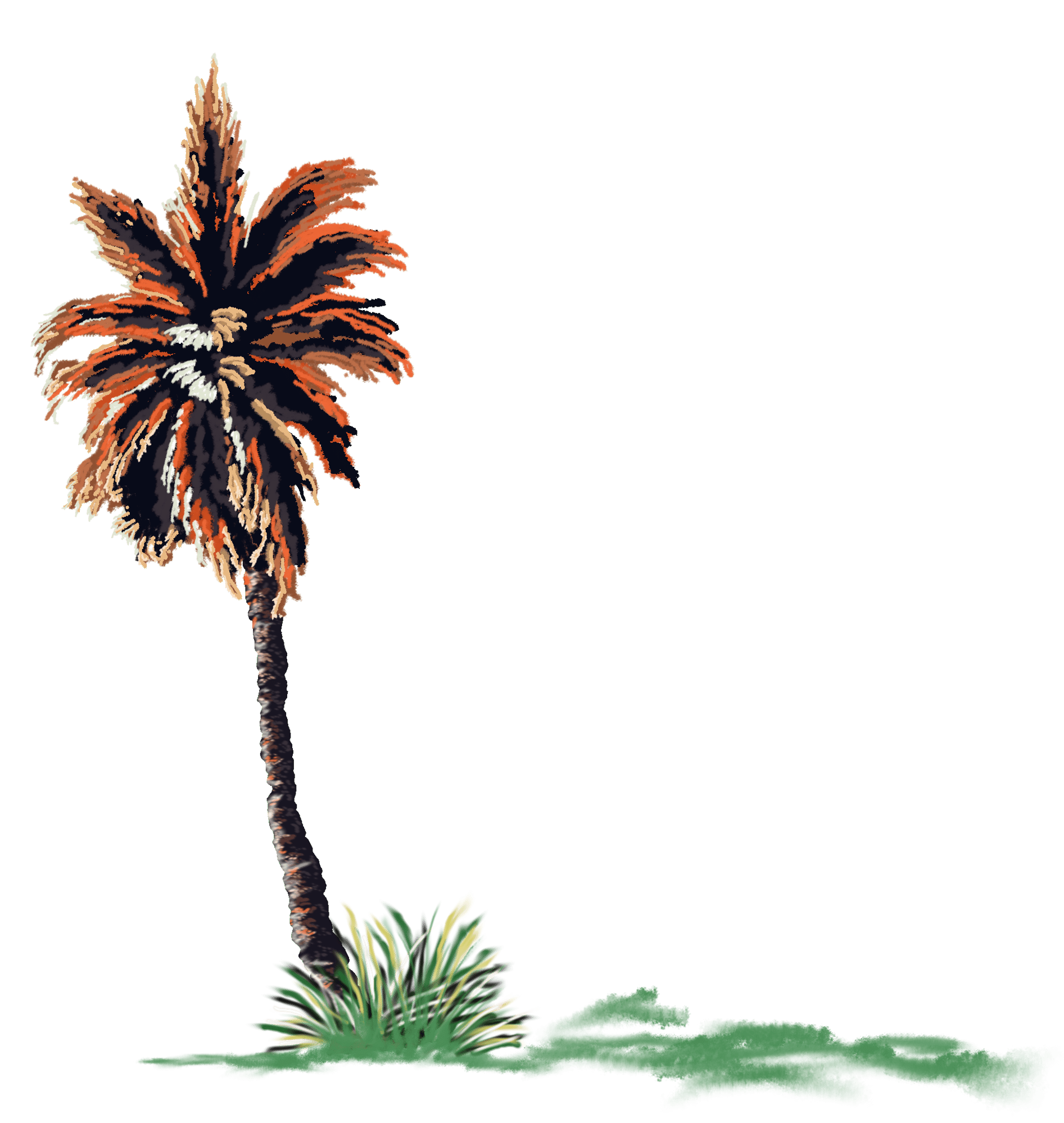 Palm Trees